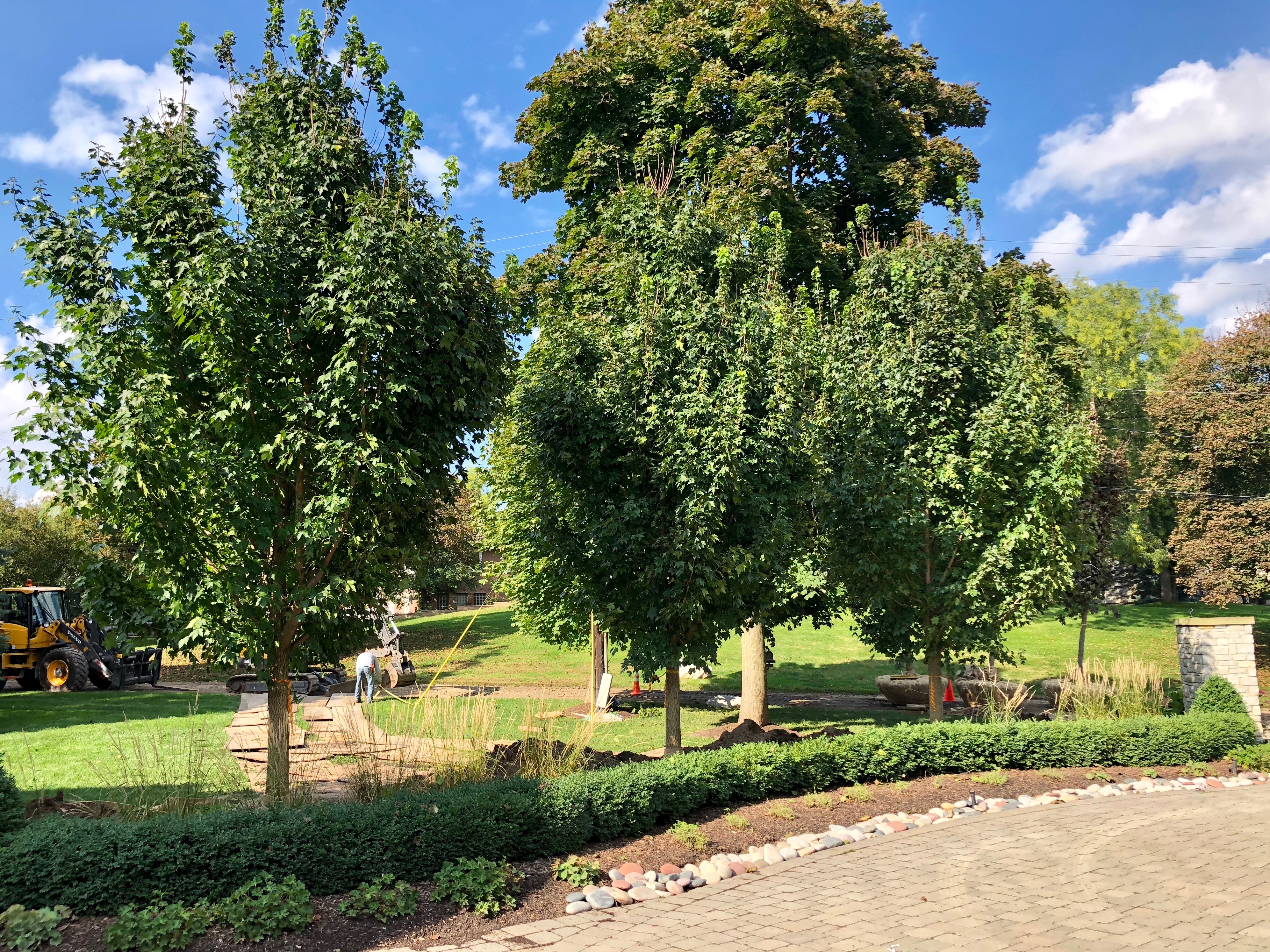 Custom Planting Project - Green Acres Tree Farm : Green Acres Tree Farm